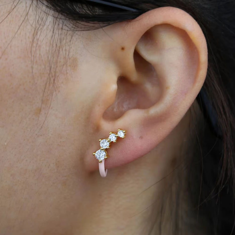 Jardin d'Email Earrings
